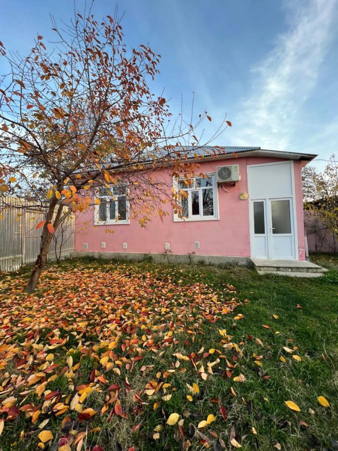 Qafqaz Resort Family House Gabala Exterior foto