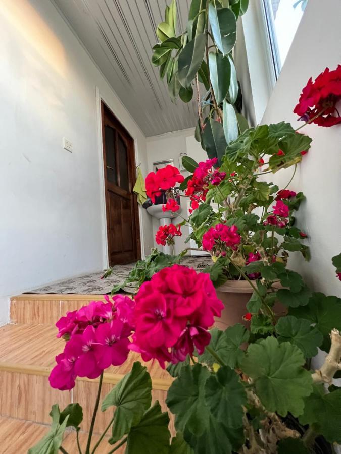Qafqaz Resort Family House Gabala Exterior foto